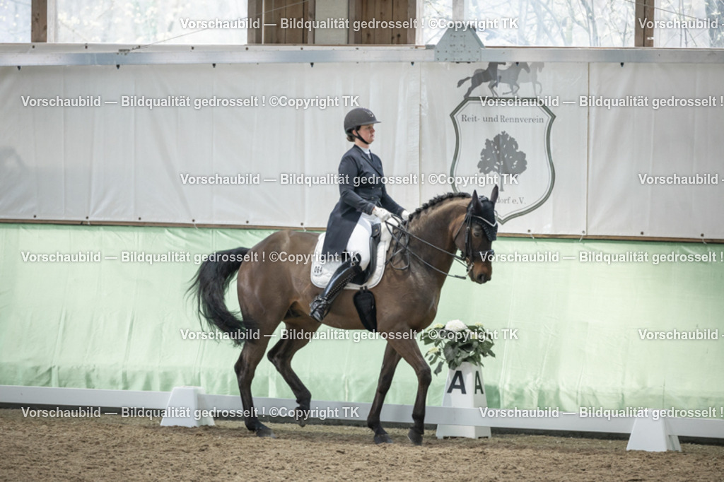 _D5A6285 | Emotionale Pferde- & People-Fotografie rund um Heidelberg, Leimen & Umgebung. Natürliche Fotos von Pferd, Mensch & Familie. Jetzt Termin sichern!