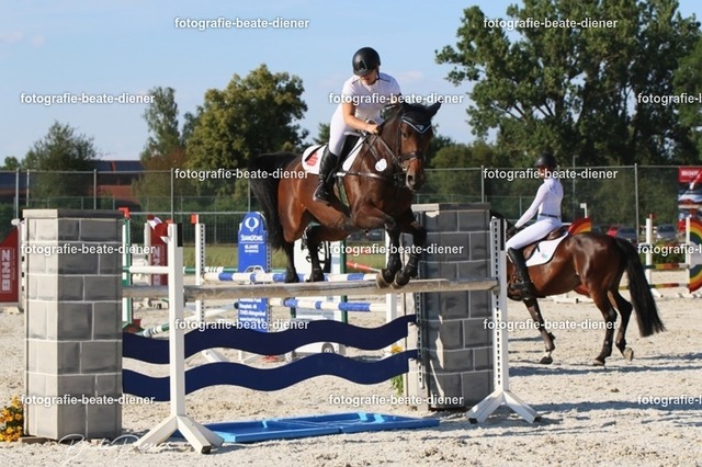 OHT 2022 Röhlingen (127) | Fotografie, Tiere, Hunde, Katzen, Pferde, Sportfotografie, Fotosession, Tierfotografie, Turnierfotografie, Fotografin, Fotograf - Realisiert mit Pictrs.com