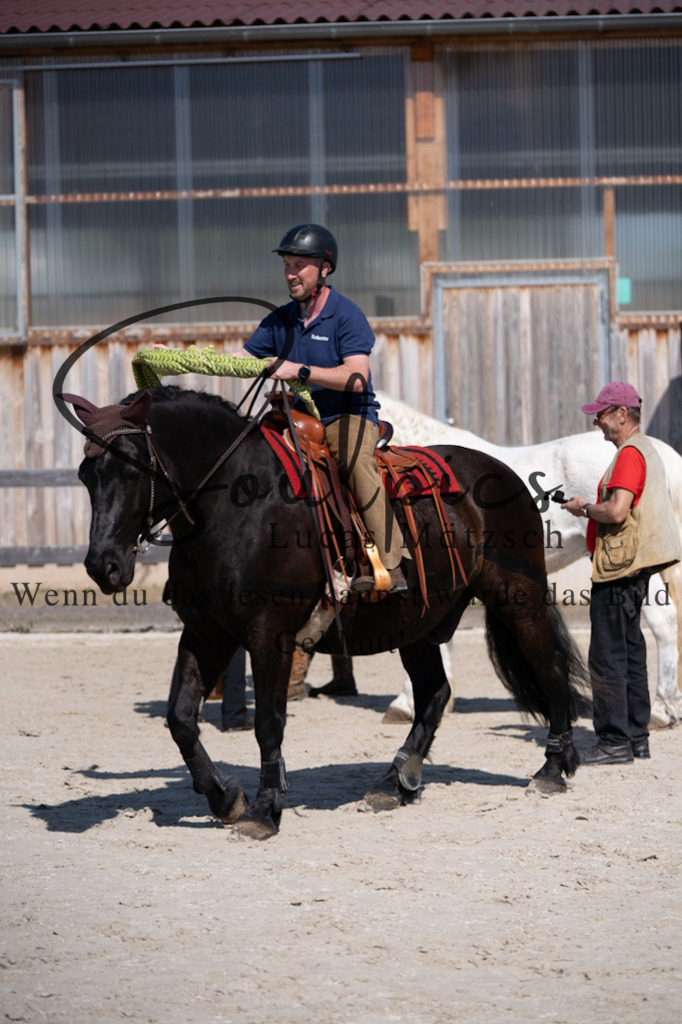 A7V01867 | Pferdefotograf