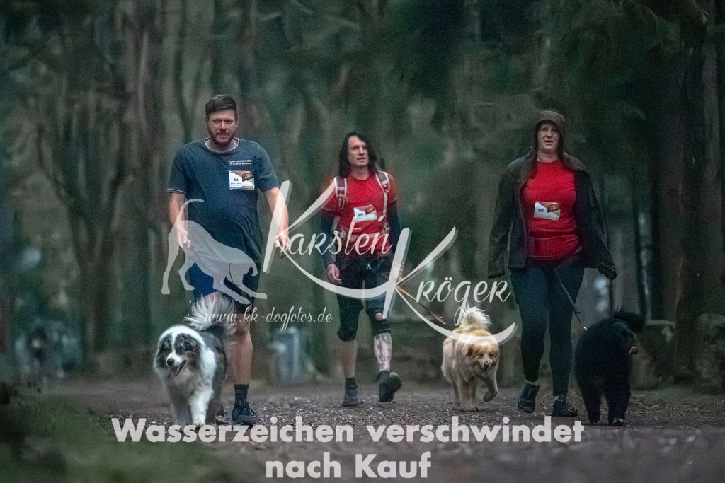 0832DZ6_3248 | kk-dogfotos