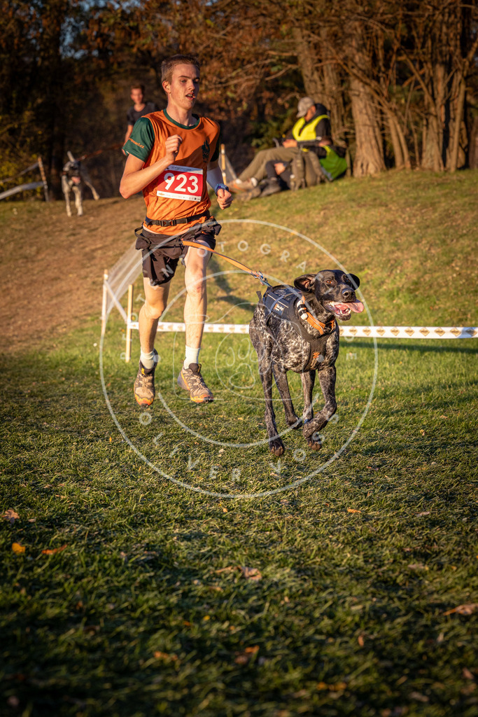 CaniXpix_0L8A1595 | Hundefotografie, Tierfotograf, Pfotenfotografie, Fotoshooting Hund, Hunde Portrait, Hundesport, Hundeportraits, Heideshooting, Hunde, Sportfotograf, Hundefotograf, Turnierhundsport, THS,  - Realisiert mit Pictrs.com