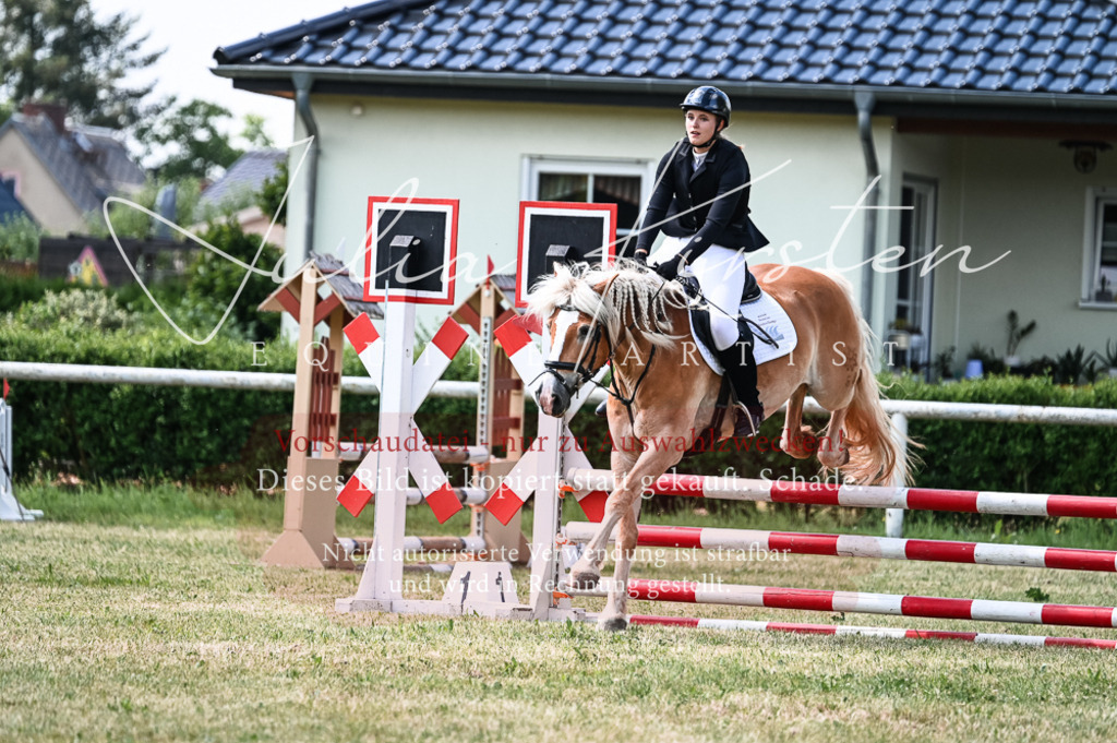 DSC_8734 | Pferde- und Turnierfotografie in Westsachsen. Pferdeportraits, Auftragszeichnungen und intuitive Kunst.