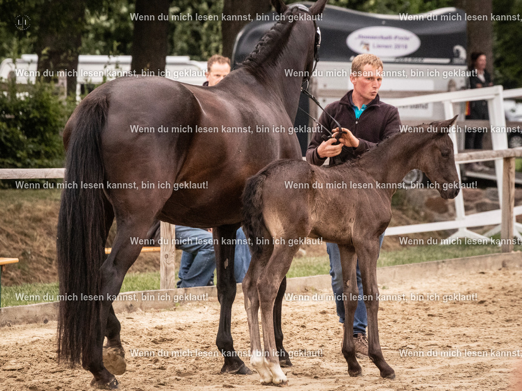 A10I5429 | photographylinaismer - Realisiert mit Pictrs.com