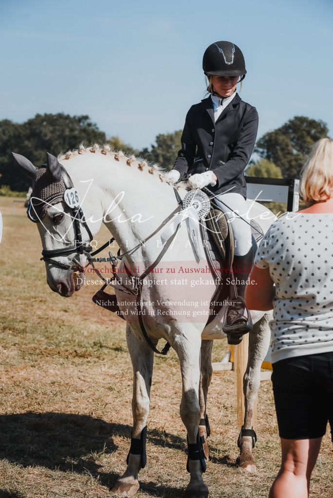 DSC_6396 | Pferde- und Turnierfotografie in Westsachsen. Pferdeportraits, Auftragszeichnungen und intuitive Kunst.