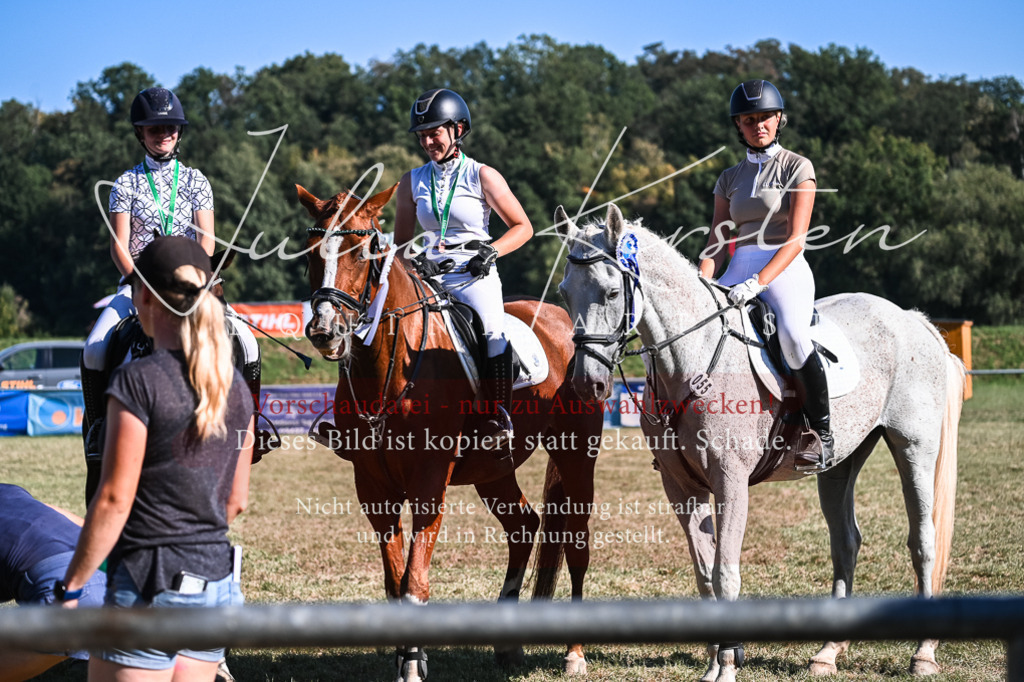 DSC_7129 | Pferde- und Turnierfotografie in Westsachsen. Pferdeportraits, Auftragszeichnungen und intuitive Kunst.