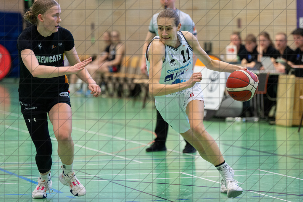 2. DBBL Nord 24/25 | 09.03.2025 | BBC OS vs. ChemCats Chemnitz | 2. DBBL Nord 24/25 | 09.03.2025 | BBC OS vs. ChemCats Chemnitz - - - - - CREDIT, www.bullenfotos.de, Martin König, Hörner Weg 40, D-49078 Osnabrück, +4917663732967, Nutzung und Weitergabe nur zu den vereinbarten Zwecken. Presseanfragen an Urheber. Alle Rechte beim Urheber. - - - - - - Realisiert mit Pictrs.com
