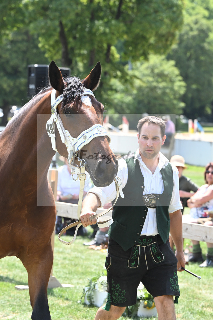 Kat-Nr. 49 Zoraya_Kotz_20230772 | hf-fotografie - Realisiert mit Pictrs.com