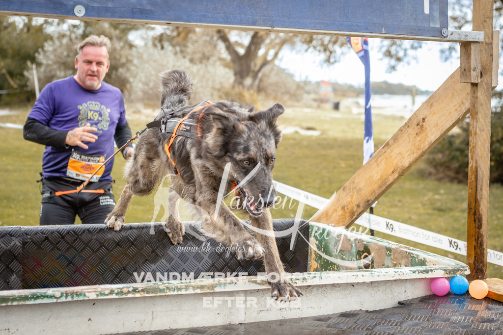 1343_ZZ91911-2 | kk-dogfotos