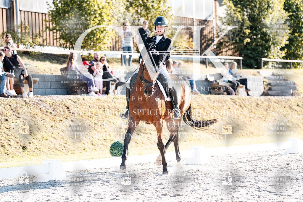 CK906756 | Turnierfotografie Pferdefotografie Trier Rheinland-Pfalz Pferdesport Reitsport Tierfotografie Sportfotografie Pferdevideo Pferdevideografie Equestrianvideography equestrianphotography  - Realisiert mit Pictrs.com