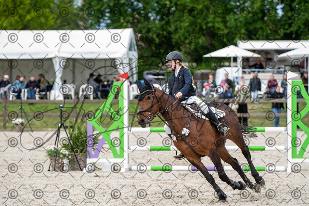 KPT_6972 | andre_photographic