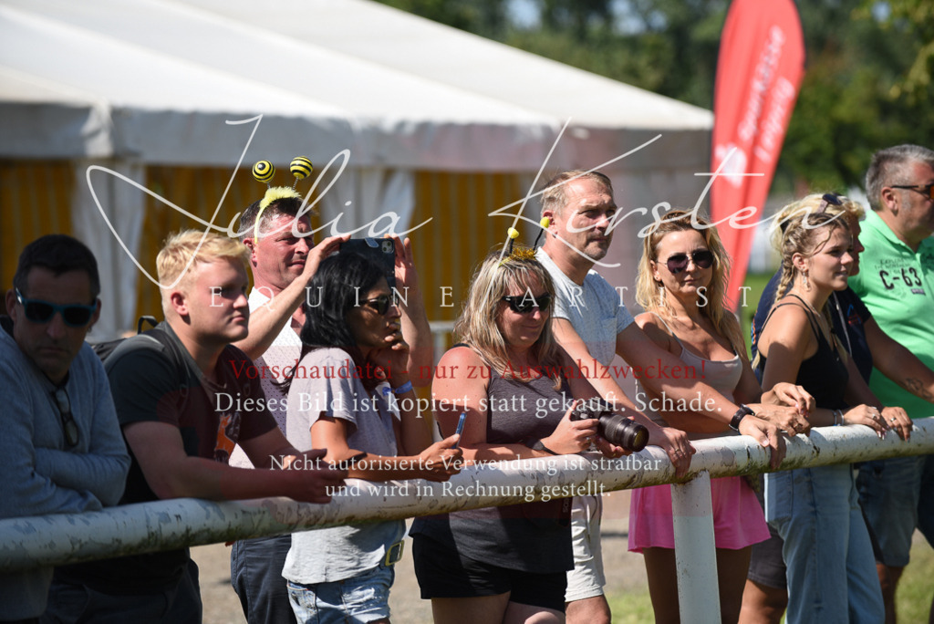 DSC_0433 | Pferde- und Turnierfotografie in Westsachsen. Pferdeportraits, Auftragszeichnungen und intuitive Kunst.
