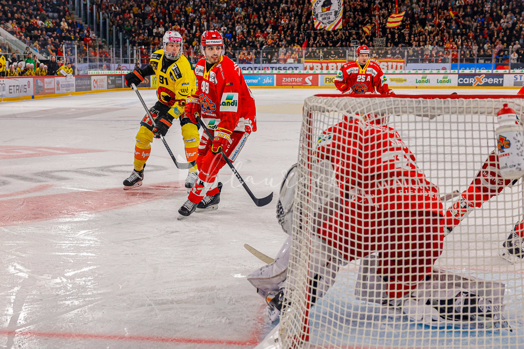 EHCB vs SCB 20260110_wb-3591 | Sportbilder, Sportfotograf, Hochzeits- und Eventfotografin, Flugshows, Portraits und Tiershooting, Aviation, Downhill, Nationalleague, Swissleague, International