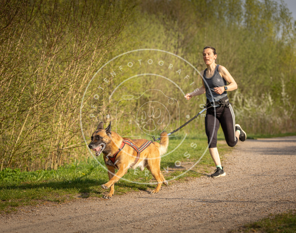 Pfotenfotografie_DV3A4573 | Hundefotografie, Tierfotograf, Pfotenfotografie, Fotoshooting Hund, Hunde Portrait, Hundesport, Hundeportraits, Heideshooting, Hunde, Sportfotograf, Hundefotograf, Turnierhundsport, THS,  - Realisiert mit Pictrs.com