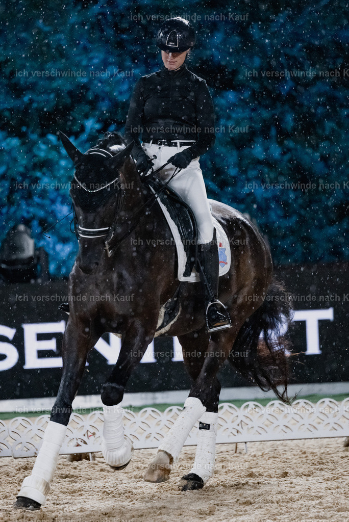 FHClassics-104 | working equitationturnier fotograf videograf stoibphotography marixx film working equitation deutschland reitsport turnierfotografie eventfotografie equestrian events