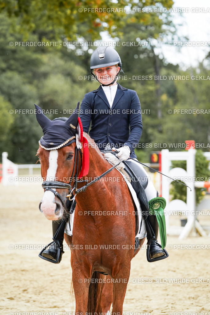 DSC06136 | Pferdegrafie