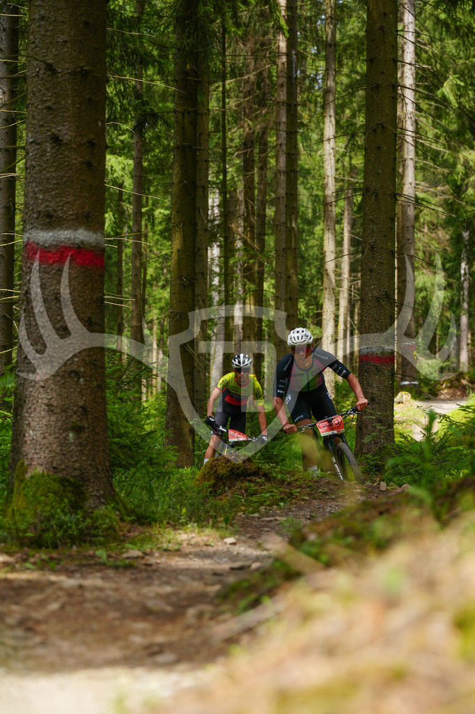 FC603641 | Fotogalerie der Treibjagd im Dunkelwald - Dein MTB Etappenrennen im Erzgebirge - Realisiert mit Pictrs.com