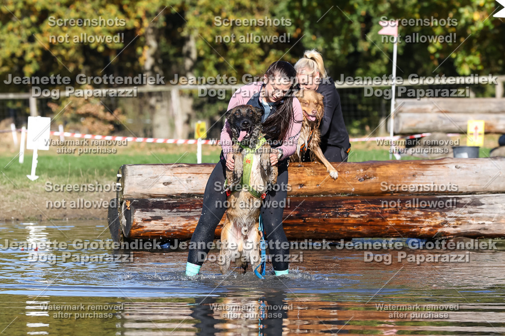 Dog Paparazzi - Strongdog 10-25-8941 | Dog Paparazzi Jeanette Grottendiek Fotografie & Videografie - Realisiert mit Pictrs.com