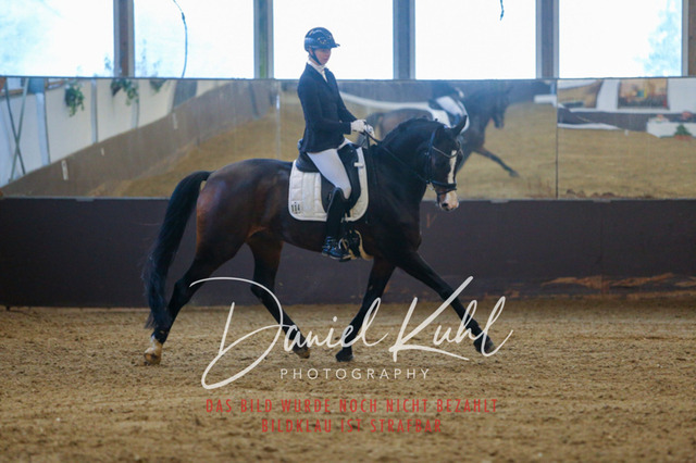 IMG_7186 | Turniersportfotografie; Pferdefotografie; Dressurfotografie