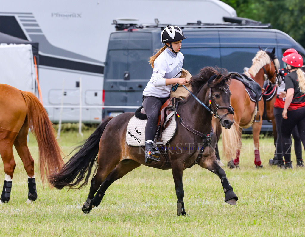 1B3A2839 | Reitsport Reiten