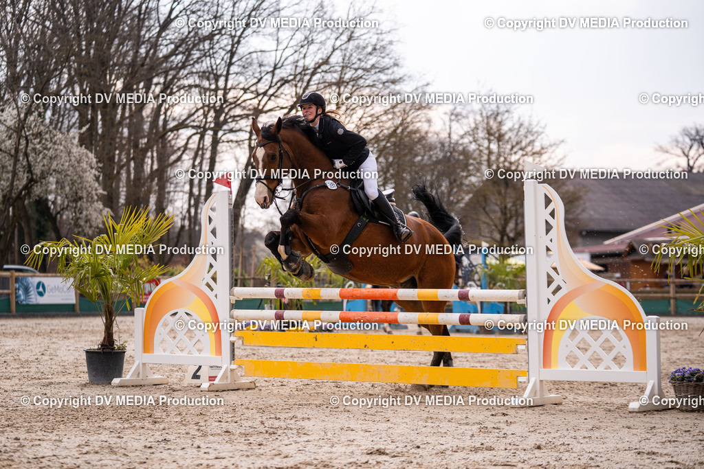 Kranichstein Tag 2-1272 | dv-media-shop - Realisiert mit Pictrs.com