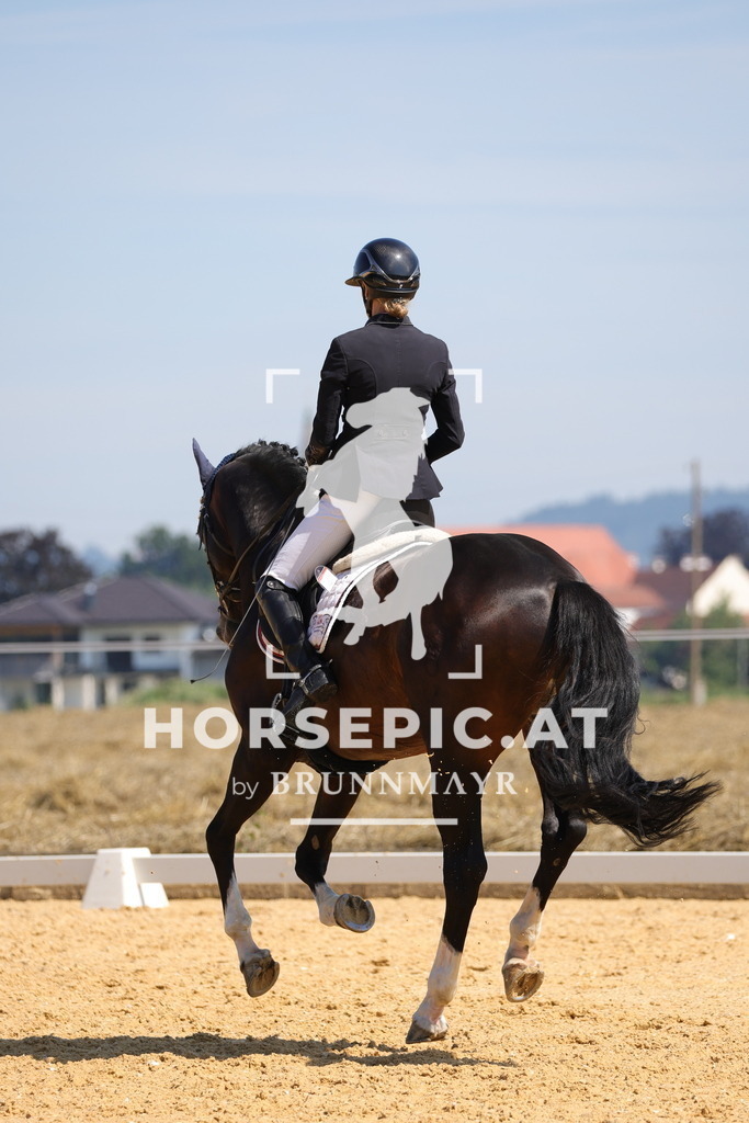 0P6A9652 | Willkommen bei Brunnmayr - Design & Fotografie – Ihrem Spezialisten für Reitturniere und Pferdeveranstaltungen in Oberösterreich, Salzburg und Bayern! Seit über 17 Jahren sind wir leidenschaftlich dabei.