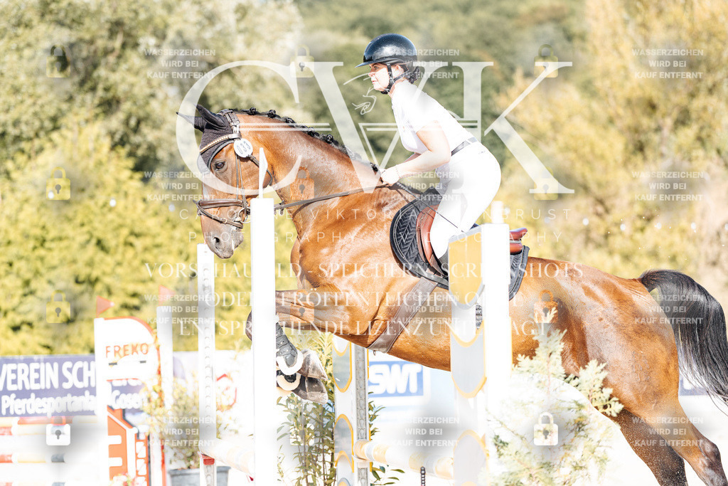 CK909454 | Turnierfotografie Pferdefotografie Trier Rheinland-Pfalz Pferdesport Reitsport Tierfotografie Sportfotografie Pferdevideo Pferdevideografie Equestrianvideography equestrianphotography  - Realisiert mit Pictrs.com