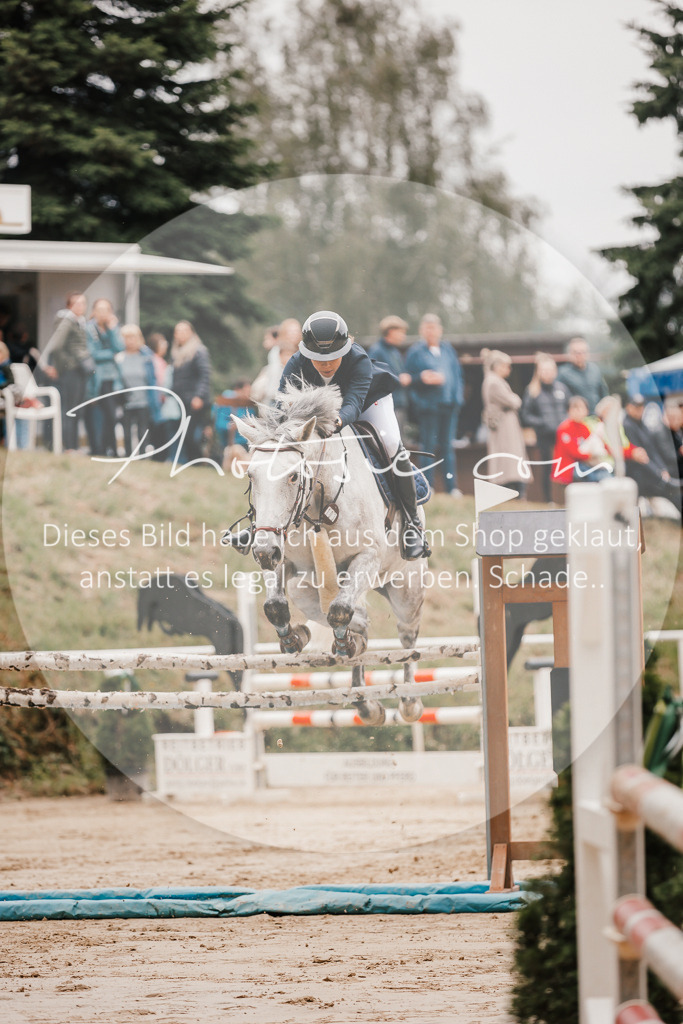 3I6A2045 | Stimmungsvolle Portraits und Reitsportfotografie im Ruhrgebiet und im Münsterland.

Pferdefotografie, Hundefotografie, Tierfotografie, Reportagen, Portraits von Tier und Mensch, Turnierfotografie in Bochum, Recklinghausen, Marl, Haltern am See, Dülmen.. - Realisiert mit Pictrs.com