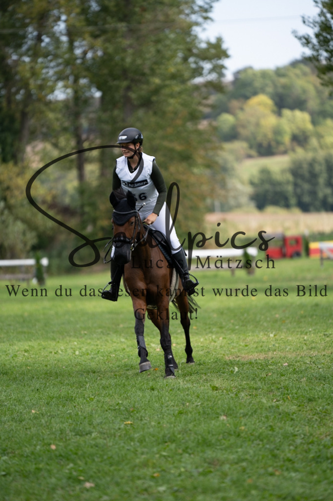 A7V03576 | Pferdefotograf