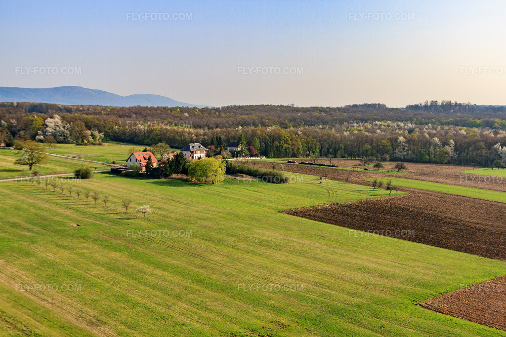 Aerial view: Rte de Surbourg in Gunstett in the state Bas-Rhin, France. – Photo: IMG_63784.jpg taken on 03/30/2014 by Werner Riehm/FLY-FOTO.com – Resolution of the original: 4752 x 3168 px