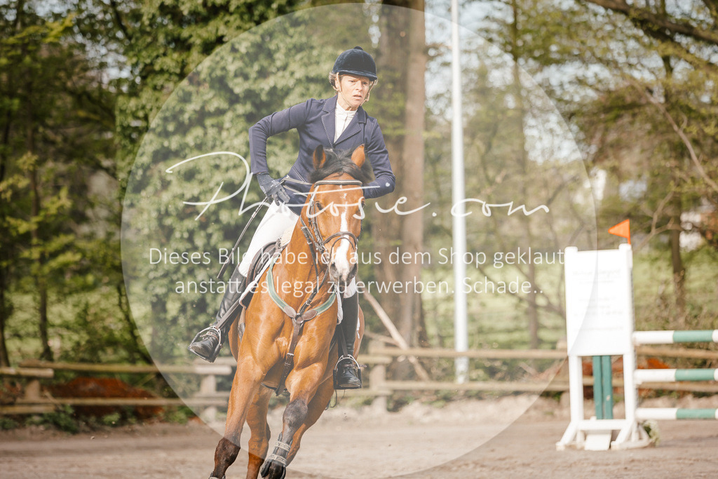 3I6A3236 | Stimmungsvolle Portraits und Reitsportfotografie im Ruhrgebiet und im Münsterland.

Pferdefotografie, Hundefotografie, Tierfotografie, Reportagen, Portraits von Tier und Mensch, Turnierfotografie in Bochum, Recklinghausen, Marl, Haltern am See, Dülmen.. - Realisiert mit Pictrs.com