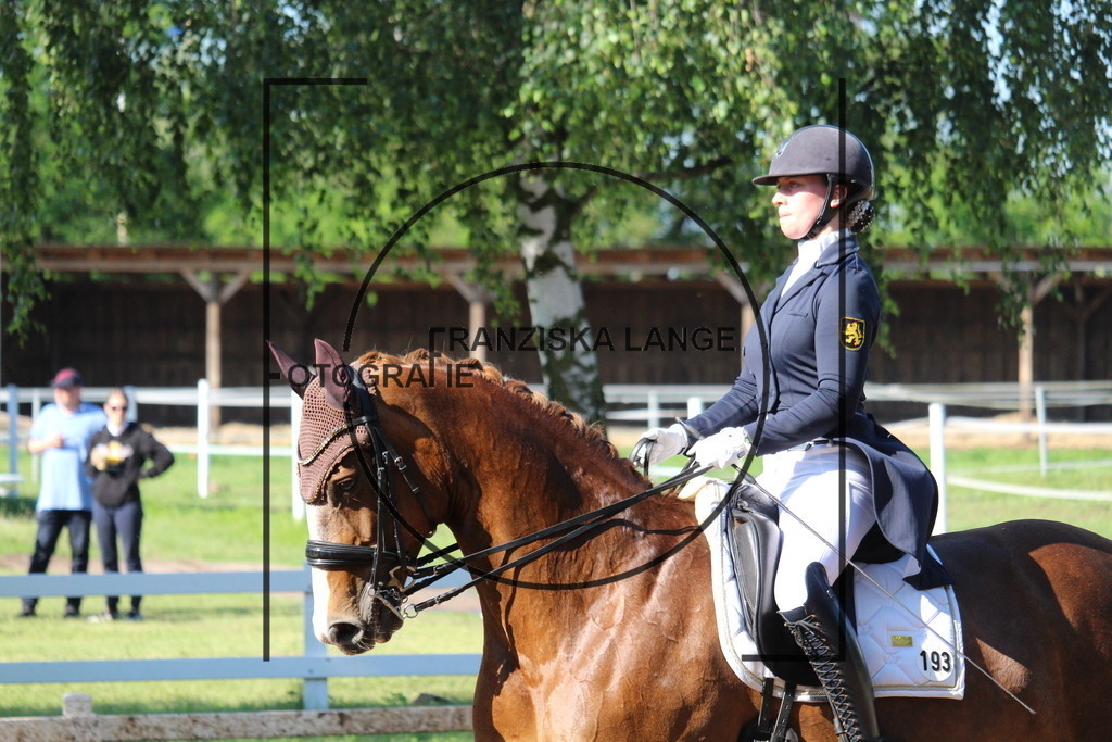 IMG_6437 | franziskalange - Realisiert mit Pictrs.com