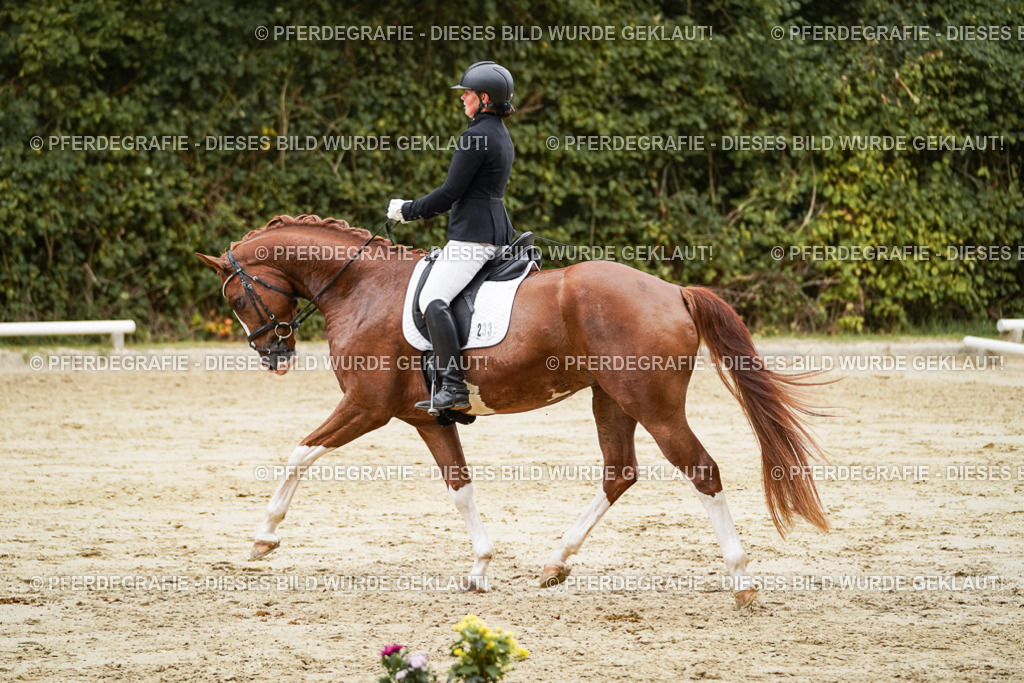 DSC00319 | Pferdegrafie