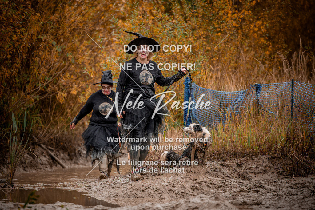 nelerasche_Creepy2025_Sa11-12_183 | nelerasche