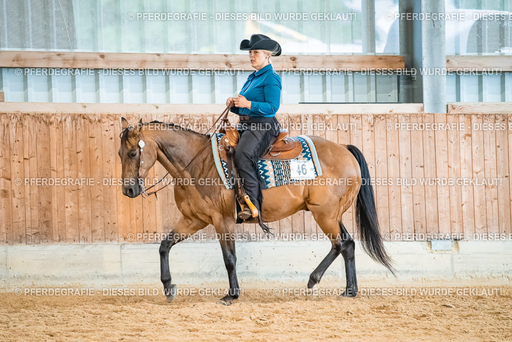 DSC00519 | Pferdegrafie