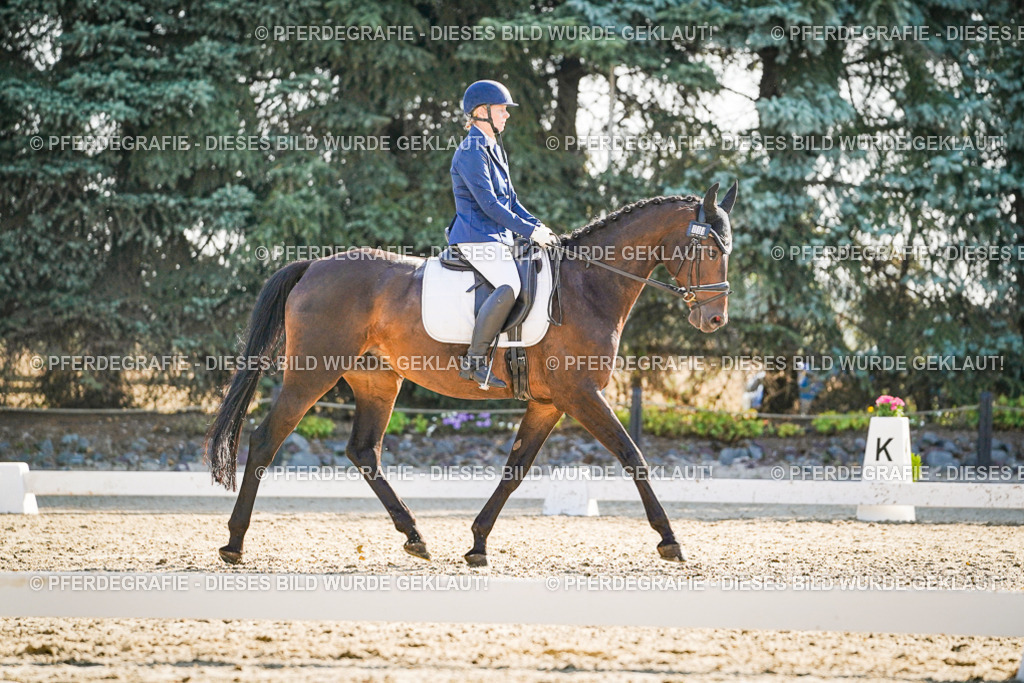 DSC09160 | Pferdegrafie