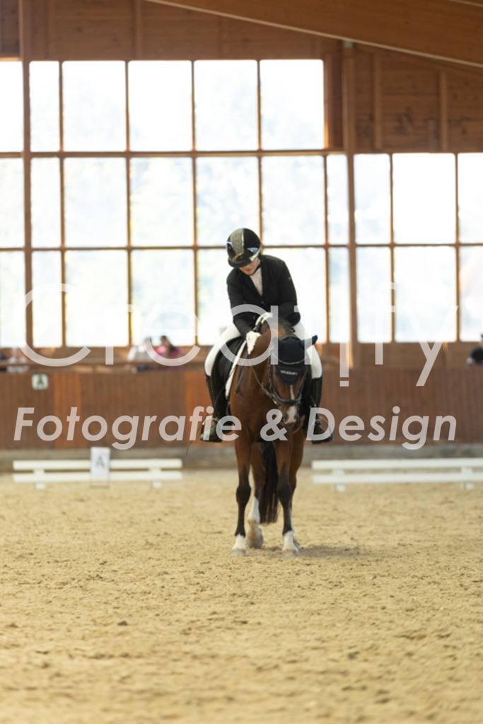 IMG_0186 | Creatify Fotografie