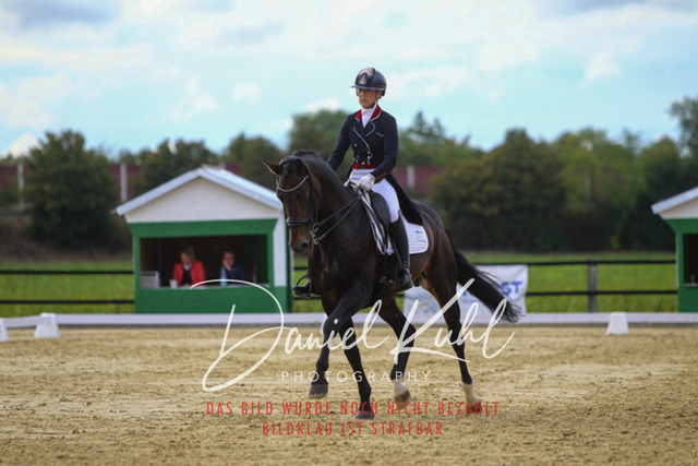 DKP44732 | Turniersportfotografie; Pferdefotografie; Dressurfotografie