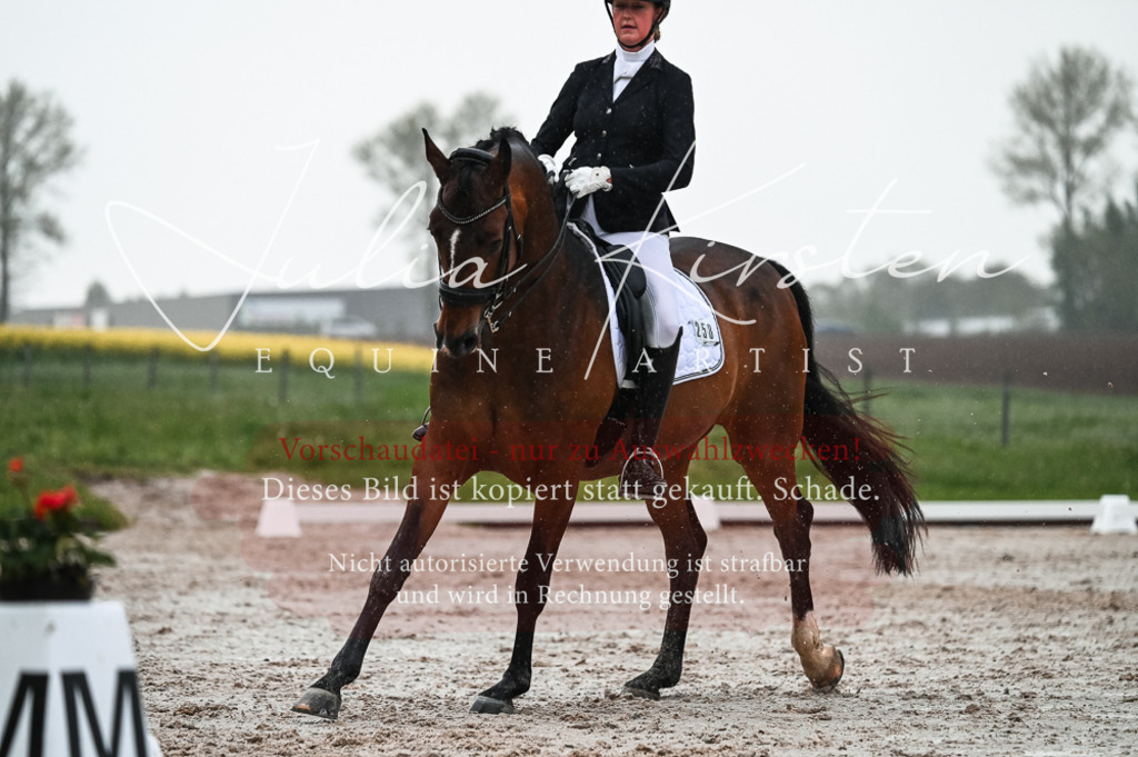 DSC_4593 | Pferde- und Turnierfotografie in Westsachsen. Pferdeportraits, Auftragszeichnungen und intuitive Kunst.