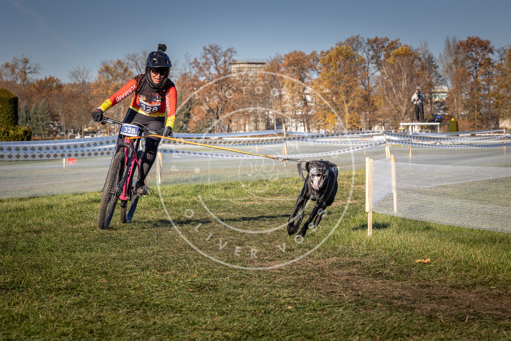 CaniXpix_0L8A5761 | Hundefotografie, Tierfotograf, Pfotenfotografie, Fotoshooting Hund, Hunde Portrait, Hundesport, Hundeportraits, Heideshooting, Hunde, Sportfotograf, Hundefotograf, Turnierhundsport, THS,  - Realisiert mit Pictrs.com