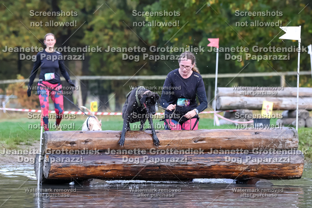 Dog Paparazzi - Strongdog 10-25-6712 | Dog Paparazzi Jeanette Grottendiek Fotografie & Videografie