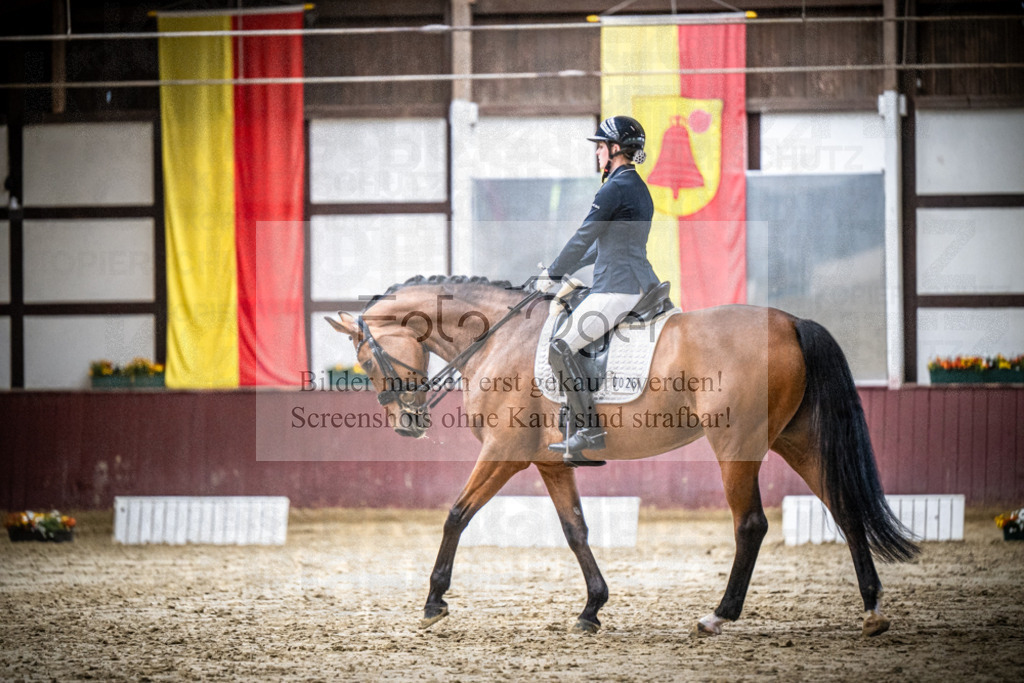 DOS_0518 | Reitturnier Lüdinghausen - Realisiert mit Pictrs.com