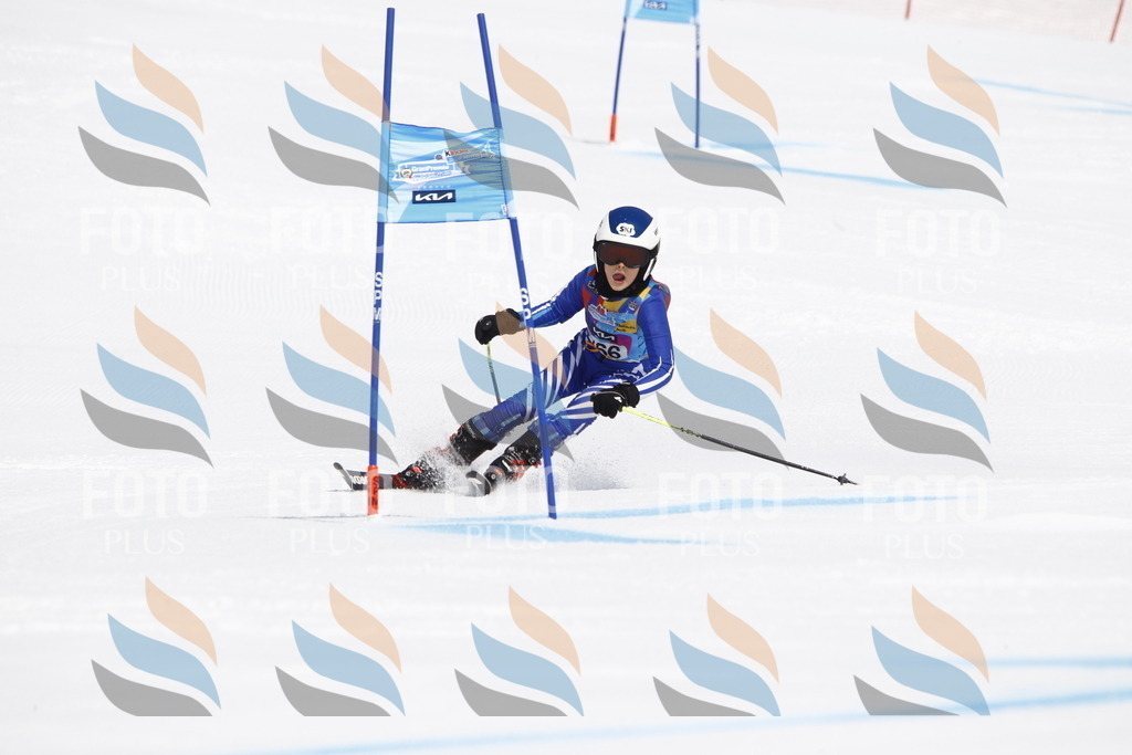 _U3G4453 | holidayphoto