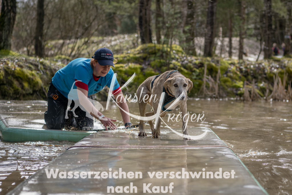 1358_ZZ91094 | kk-dogfotos
