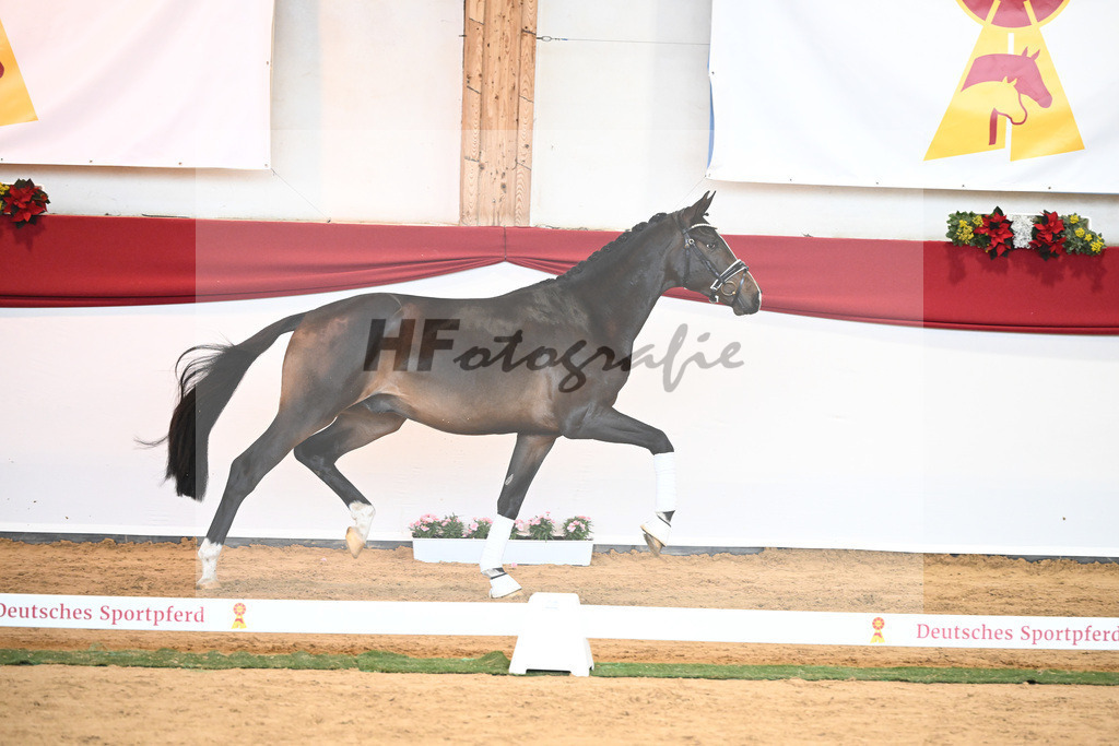 Kat-Nr. 46 Rock For Me x For Romance I_Schindele_43230844 | hf-fotografie - Realisiert mit Pictrs.com