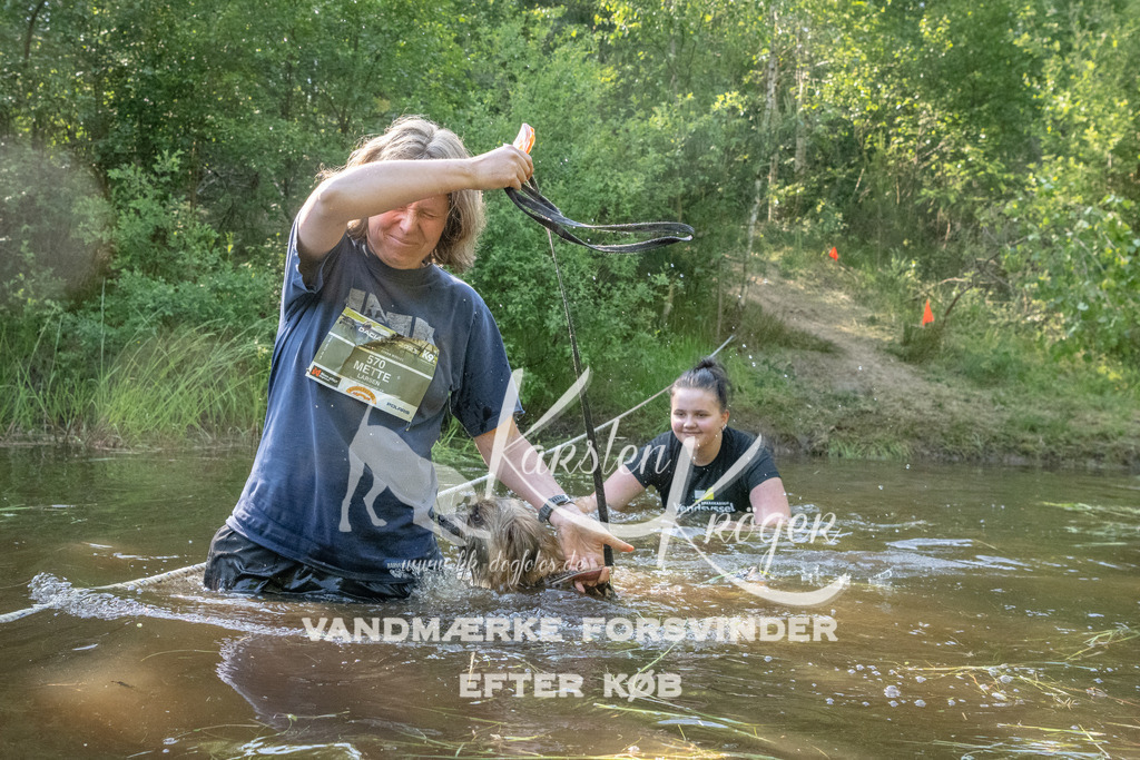 1715DKK991934 | kk-dogfotos