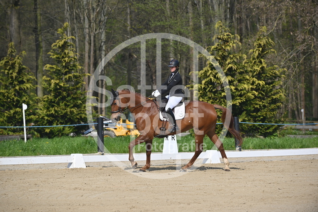 DSC_0465 | sattelsport - Realisiert mit Pictrs.com