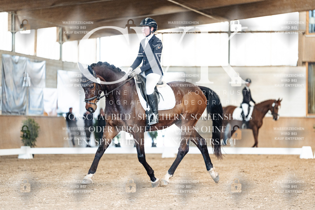 CK900842 | Turnierfotografie Pferdefotografie Trier Rheinland-Pfalz Pferdesport Reitsport Tierfotografie Sportfotografie Pferdevideo Pferdevideografie Equestrianvideography equestrianphotography  - Realisiert mit Pictrs.com
