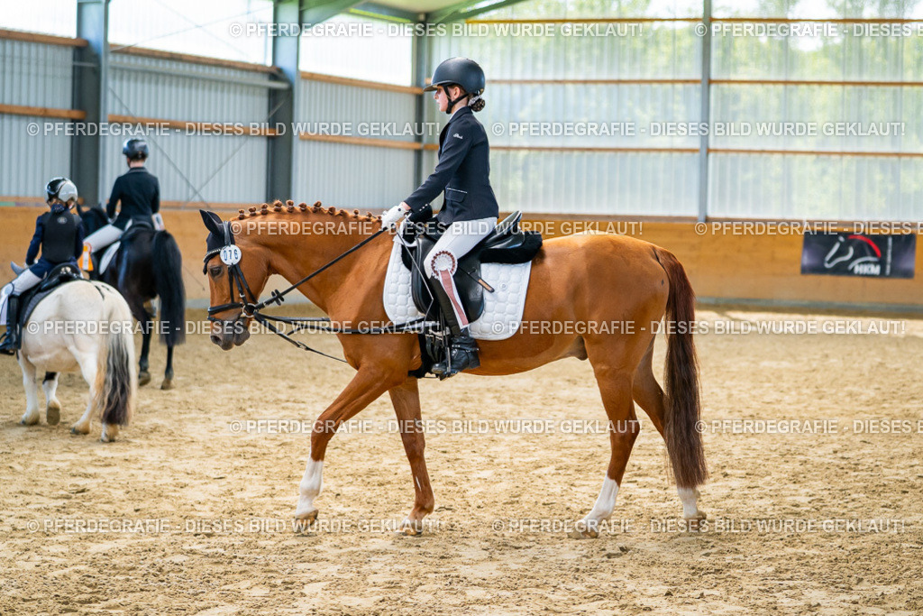 DSC01505 | Pferdegrafie