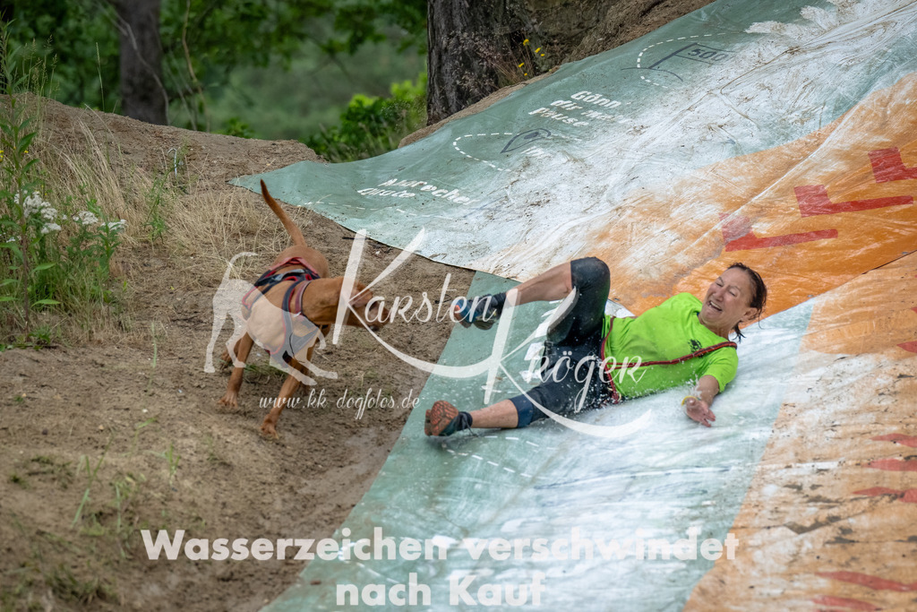 1213_ZZ91327-Bearbeitet | kk-dogfotos