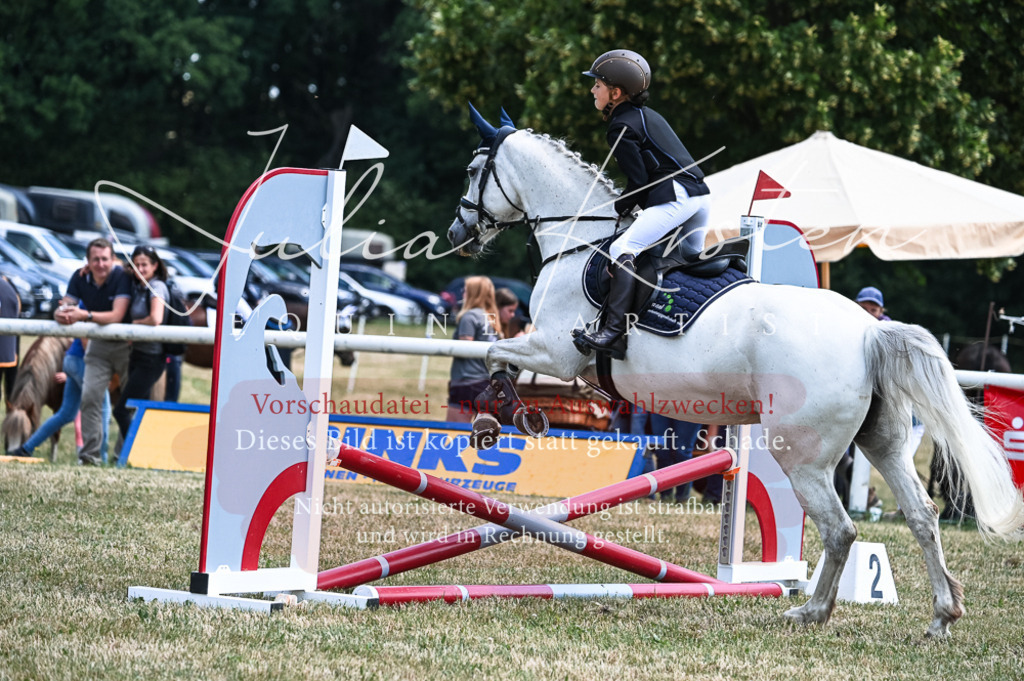 DSC_9616 | Pferde- und Turnierfotografie in Westsachsen. Pferdeportraits, Auftragszeichnungen und intuitive Kunst.